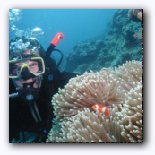 Finding Nemo