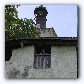 Gruer