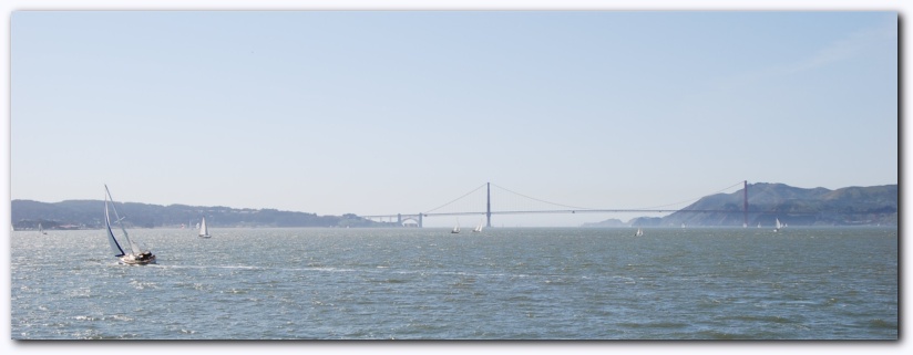 802x298 pixels (60K)