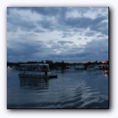 7  ,    manatees