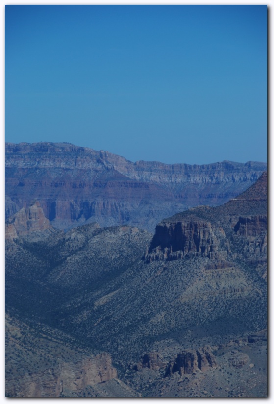 537x801 pixels (136K)
