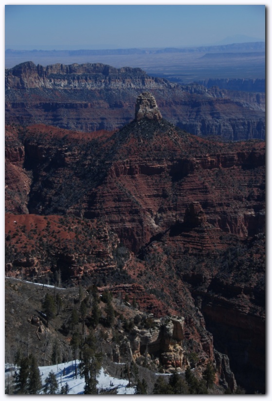 537x801 pixels (181K)