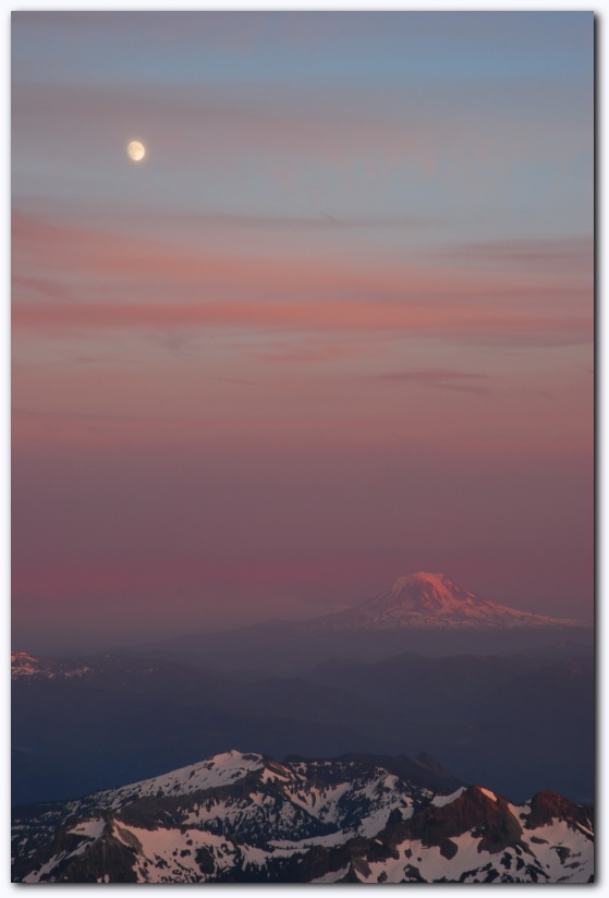 537x801 pixels (74K)