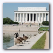    Lincoln memorial