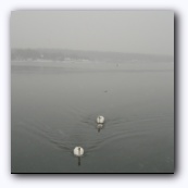 Oslo fjord