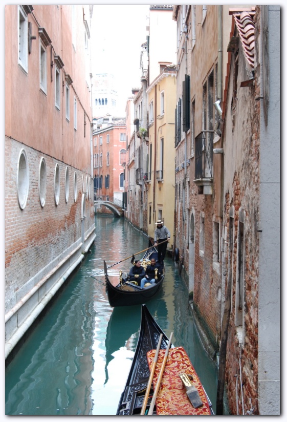 539x801 pixels (200K)