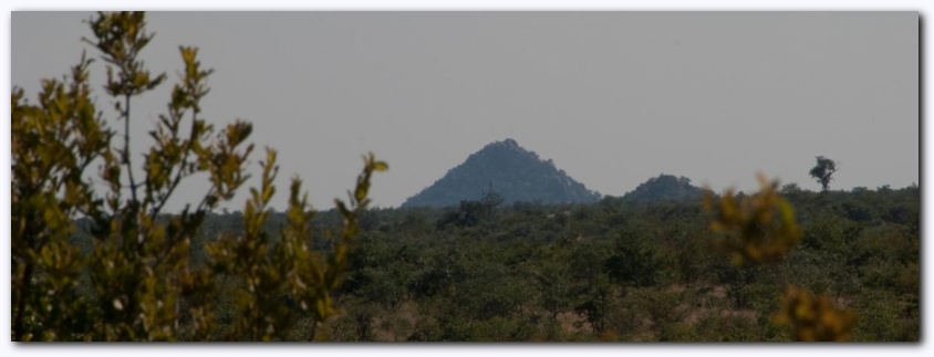 822x300 pixels (67K)
