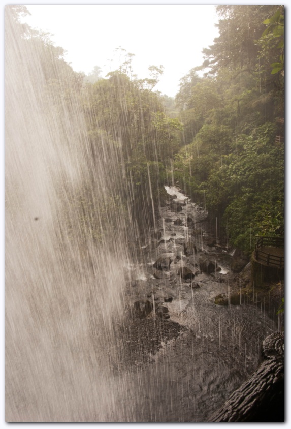 551x821 pixels (163K)