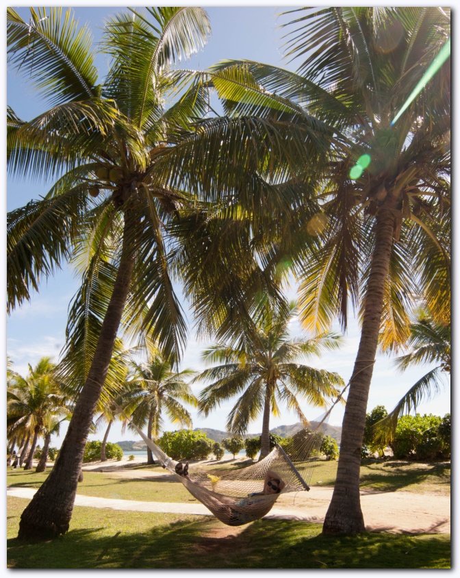 650x821 pixels (326K)